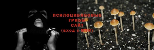 мескалин Баксан
