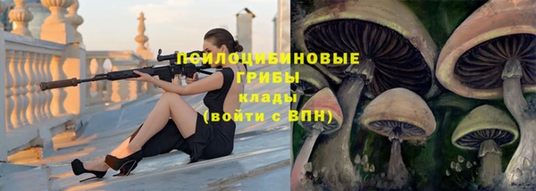 мескалин Баксан